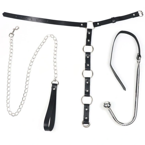 Anal Hooks Kinky EverydayUse Leash Hook Anal 5853 with and Collar 0128